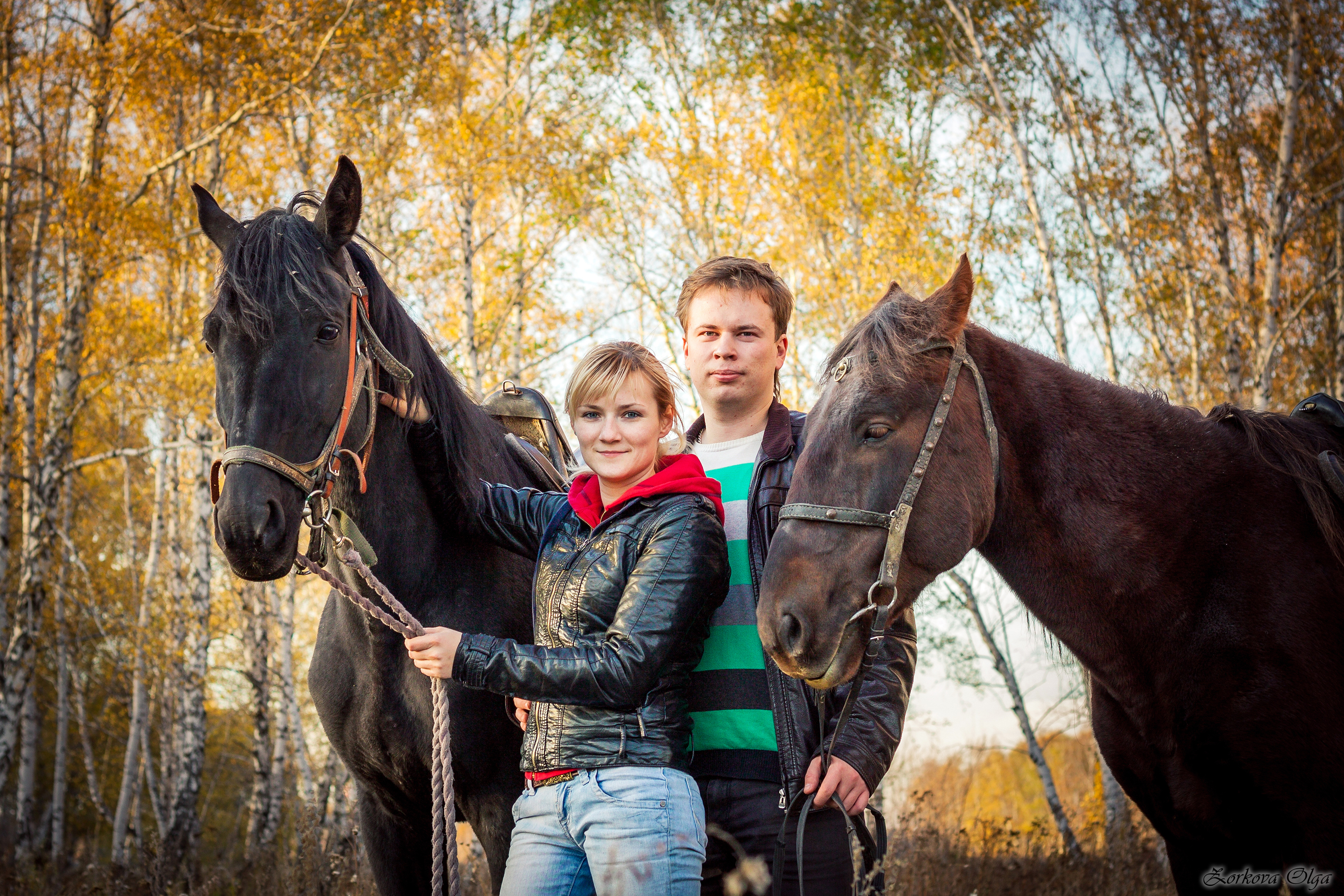 Прогулки на лошадях в Омске