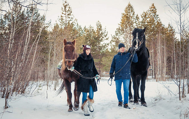 Верховая езда на лошадях в Омске. Подарочные сертификаты Ultra Подарки. Купить оригинальный подарок или подарочный сертификат на Верховая езда на лошадях в Омске. Сервис UltraPodarki.ru 8-800-505-9530. Катание на лошадях, Прогулка на лошади, Прогулка на лошадях для двоих, Верховая езда на лошадях, конный клуб, Конный клуб, конная прогулка, конная прогулка в Омске