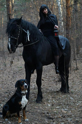 Верховая езда на лошадях в Омске. Подарочные сертификаты Ultra Подарки. Купить оригинальный подарок или подарочный сертификат на Верховая езда на лошадях в Омске. Сервис UltraPodarki.ru 8-800-505-9530. Катание на лошадях, Прогулка на лошади, Прогулка на лошадях для двоих, Верховая езда на лошадях, конный клуб, Конный клуб, конная прогулка, конная прогулка в Омске