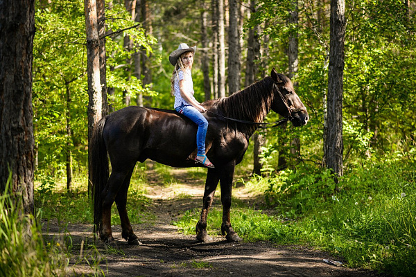 Верховая езда на лошадях в Омске. Подарочные сертификаты Ultra Подарки. Купить оригинальный подарок или подарочный сертификат на Верховая езда на лошадях в Омске. Сервис UltraPodarki.ru 8-800-505-9530. Катание на лошадях, Прогулка на лошади, Прогулка на лошадях для двоих, Верховая езда на лошадях, конный клуб, Конный клуб, конная прогулка, конная прогулка в Омске