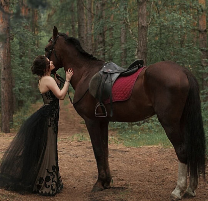 Верховая езда на лошадях в Омске. Подарочные сертификаты Ultra Подарки. Купить оригинальный подарок или подарочный сертификат на Верховая езда на лошадях в Омске. Сервис UltraPodarki.ru 8-800-505-9530. Катание на лошадях, Прогулка на лошади, Прогулка на лошадях для двоих, Верховая езда на лошадях, конный клуб, Конный клуб, конная прогулка, конная прогулка в Омске