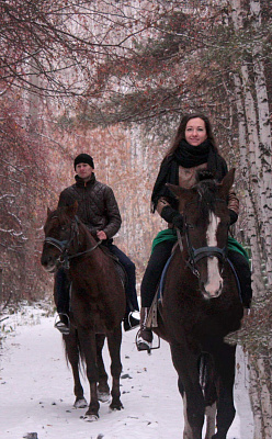 Верховая езда на лошадях в Омске. Подарочные сертификаты Ultra Подарки. Купить оригинальный подарок или подарочный сертификат на Верховая езда на лошадях в Омске. Сервис UltraPodarki.ru 8-800-505-9530. Катание на лошадях, Прогулка на лошади, Прогулка на лошадях для двоих, Верховая езда на лошадях, конный клуб, Конный клуб, конная прогулка, конная прогулка в Омске