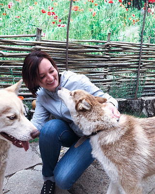 Катание на хаски в Омске. Ultra Подарки. Катание на хаски в Омске. Попробуйте Катание на хаски. Сервис: UltraPodarki.ru 8 800 505 95 30. Катание на хаски Омск, Катание на хаски в Омске, хаски, животные в Омске, 