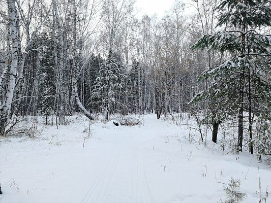 Катание на снегоходах в Омске в подарок. Сервис Ultra Подарки
. ✳️✴️❄️ Подарочный сертификат на катание на снегоходах в Омске с друзьями ❄️✴️✳️. Закажите прокат снегоходов в подарок для мужчин и парней на день рождения по привлекательным ценам. Езда на снегоходах это ещё и активный зимний отдых. Сервис UltraPodarki.ru ☎️ 8 (800) 505-95-30	. катание на снегоходах, подарочный сертификат на катание на снегоходе, прокат снегоходов, прокат снегоходов Омск, катание на снегоходах Омск, езда на снегоходе