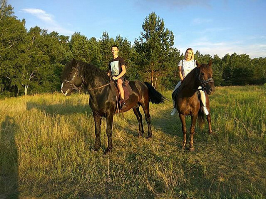 Верховая езда на лошадях в Омске. Подарочные сертификаты Ultra Подарки. Купить оригинальный подарок или подарочный сертификат на Верховая езда на лошадях в Омске. Сервис UltraPodarki.ru 8-800-505-9530. Катание на лошадях, Прогулка на лошади, Прогулка на лошадях для двоих, Верховая езда на лошадях, конный клуб, Конный клуб, конная прогулка, конная прогулка в Омске